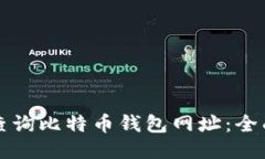 如何查询比特币钱包网址