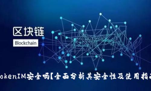 TokenIM安全吗？全面分析其安全性及使用指南