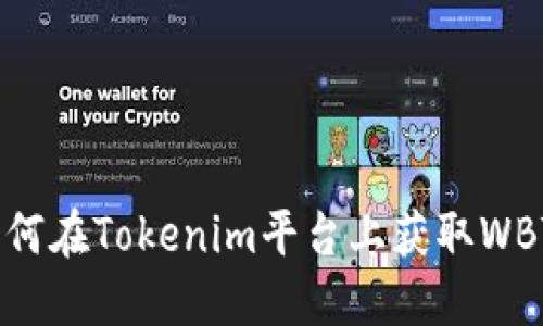 如何在Tokenim平台上获取WBTC