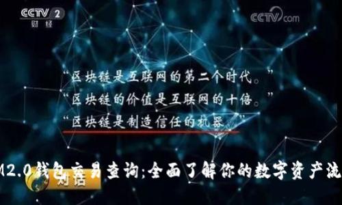 IM2.0钱包交易查询：全面了解你的数字资产流动