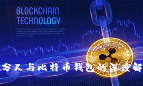 硬分叉与比特币钱包的深度解析