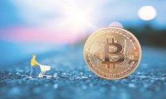 IM显示找不到钱包解决方案