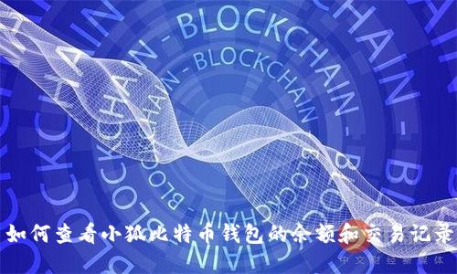 如何查看小狐比特币钱包的余额和交易记录