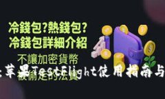 Tokenim：苹果TestFlight使用指