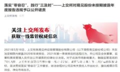 如何在Tokenim上存储BSV（比