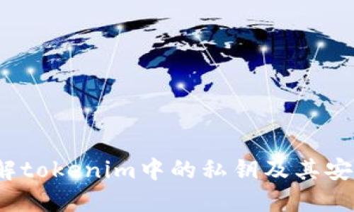  理解tokenim中的私钥及其安全性