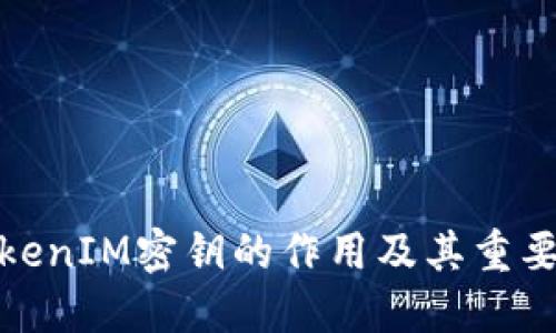 TokenIM密钥的作用及其重要性