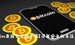 Tokenim截图分享安全吗？详