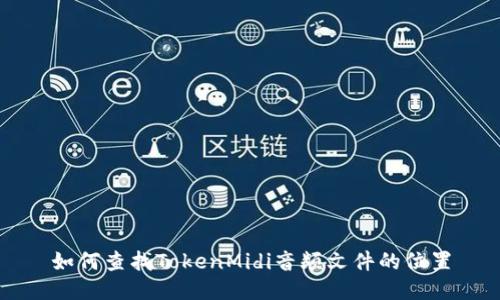如何查找TokenMidi音频文件的位置