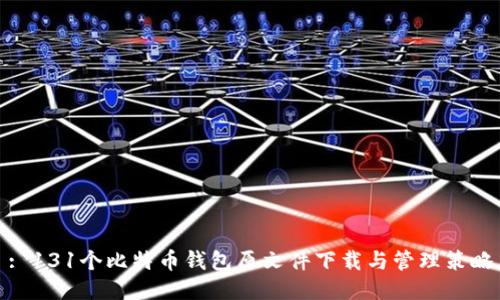 : 131个比特币钱包原文件下载与管理策略