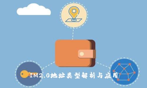 IM2.0地址类型解析与应用