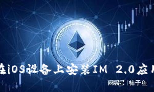 如何在iOS设备上安装IM 2.0应用程序