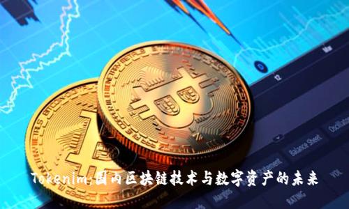 Tokenim：国内区块链技术与数字资产的未来