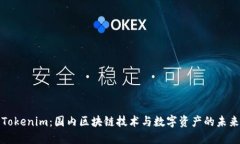 Tokenim：国内区块链技术与