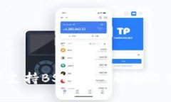 Tokenim是否支持BSV？深入解