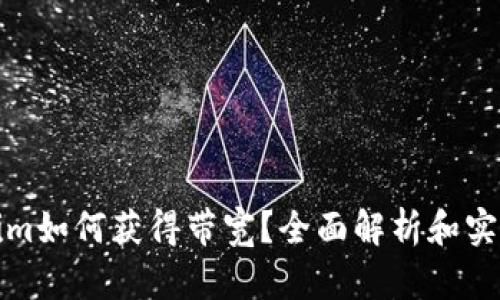 Tokenim如何获得带宽？全面解析和实用指南