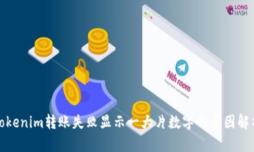 tokenim转账失败显示一大片数字的原因解析