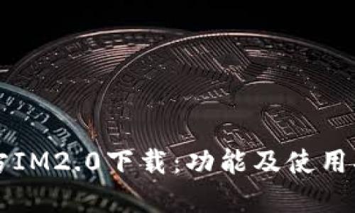 官方IM2.0下载：功能及使用指南