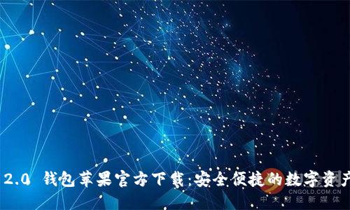 imToken 2.0 钱包苹果官方下载：安全便捷的数字资产管理利器