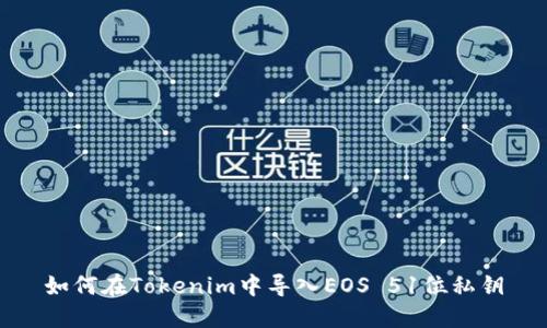 如何在Tokenim中导入EOS 51位私钥