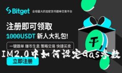 IM2.0中如何设定Gas参数