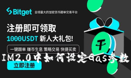 IM2.0中如何设定Gas参数