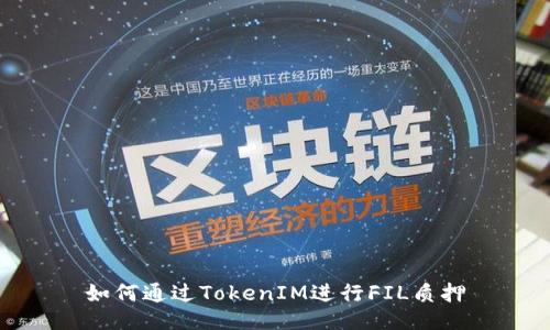 如何通过TokenIM进行FIL质押