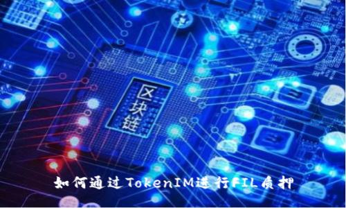 如何通过TokenIM进行FIL质押
