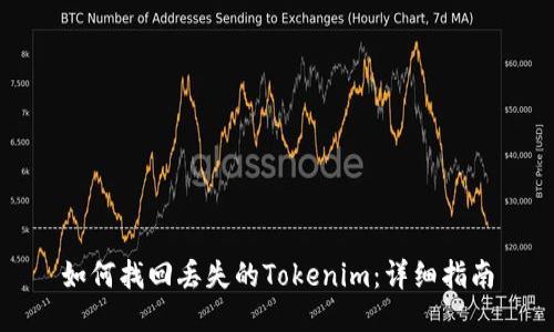 如何找回丢失的Tokenim：详细指南