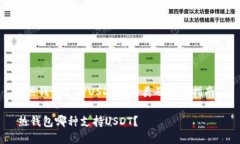 《热钱包支持USDT的种类及选择指南》热钱包哪种