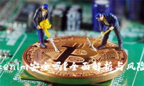 放Tokenim安全吗？全面解析与风险评估