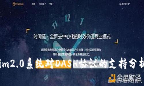 im2.0系统对DASH协议的支持分析