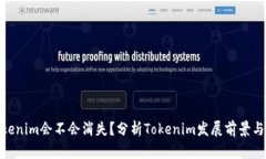 : tokenim会不会消失？分析Tokenim发展前景与风险