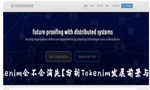 : tokenim会不会消失？分析Tokenim发展前景与风险