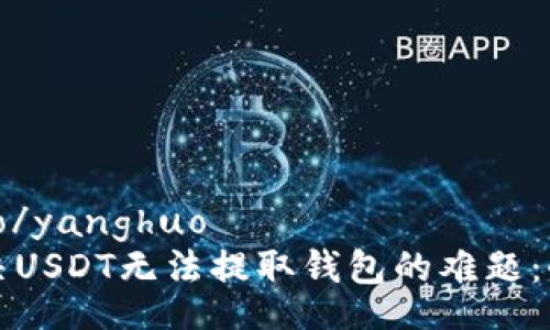 yanghuo/yanghuo 
如何解决USDT无法提取钱包的难题：全面指南