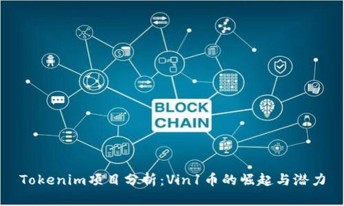 Tokenim项目分析：Vin1币的崛起与潜力