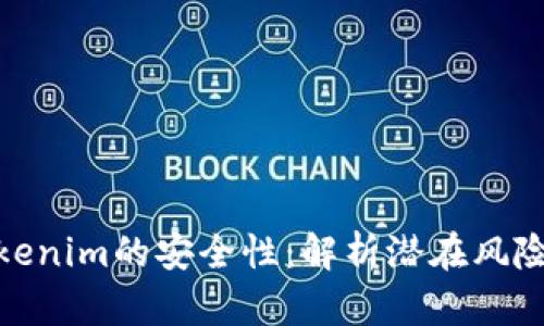 如何保障Tokenim的安全性：解析潜在风险与防范措施