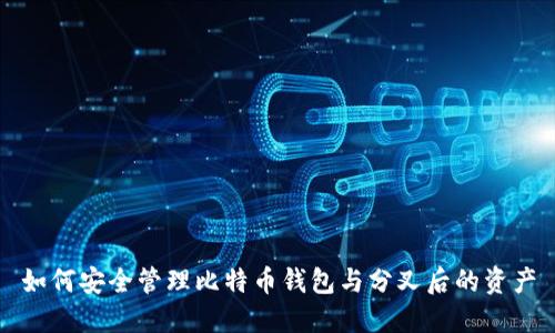 如何安全管理比特币钱包与分叉后的资产