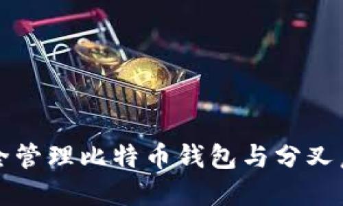 如何安全管理比特币钱包与分叉后的资产