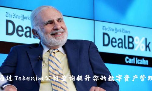 如何通过Tokenim公链查询提升你的数字资产管理效率