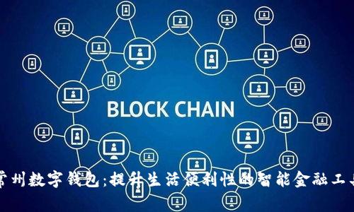 常州数字钱包：提升生活便利性的智能金融工具