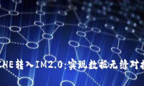 如何有效将CHE转入IM2.0：实现数据无缝对接的实践指南