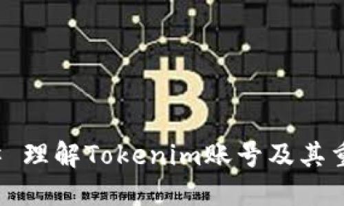 ### 理解Tokenim账号及其重要性