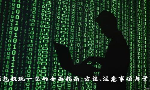 数字钱包提现一亿的全面指南：方法、注意事项与常见问题