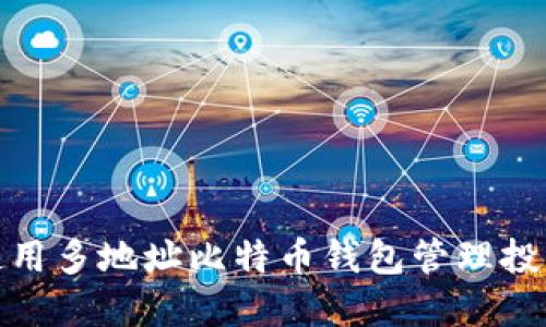 如何使用多地址比特币钱包管理投资风险