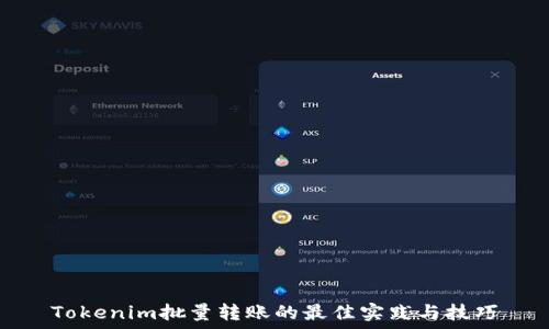   
Tokenim批量转账的最佳实践与技巧