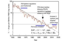 成都数字钱包使用指南：便捷支付与生活的新选