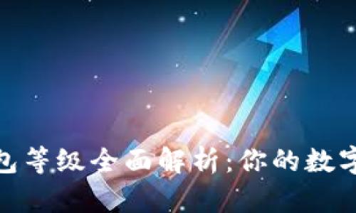 数字人民币钱包等级全面解析：你的数字资产安全密码