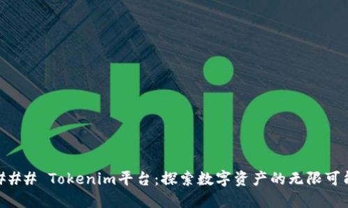 ### Tokenim平台：探索数字资产的无限可能