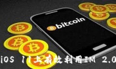   如何在iOS 11上有效利用IM 2.0的功能